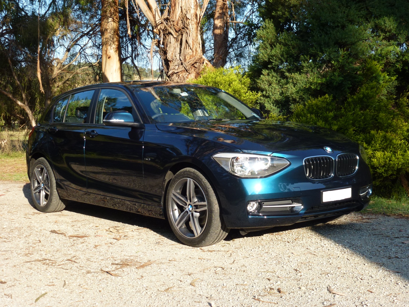 Midnight Blue 118d Sport