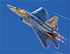 raptor_f22's Avatar