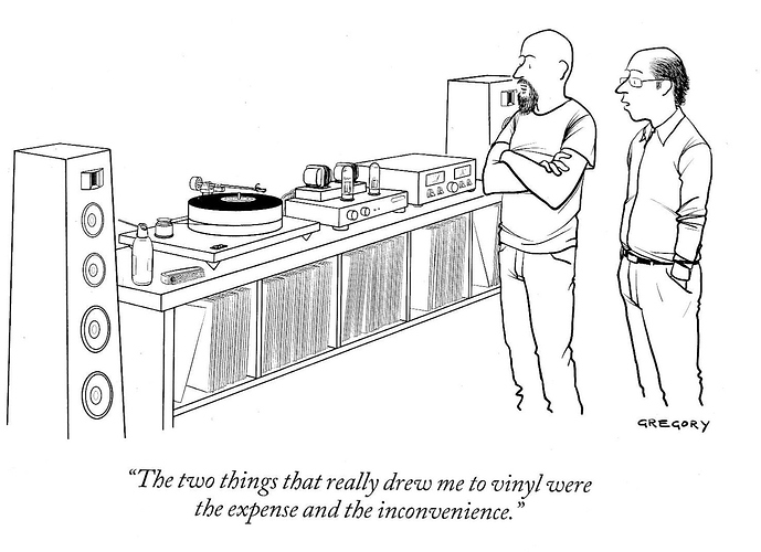 Name:  Vinyl..jpeg
Views: 12253
Size:  109.4 KB