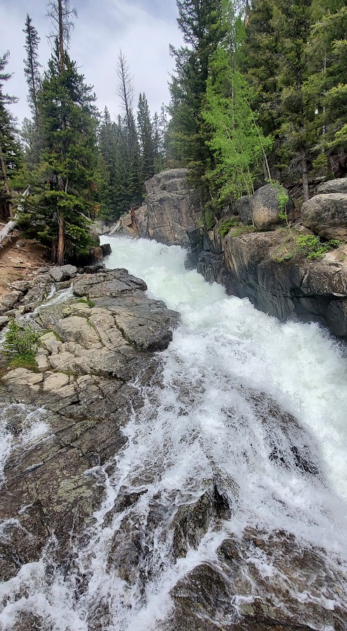 Name:  65-20250614_125756.jpg
Views: 1668
Size:  279.4 KB