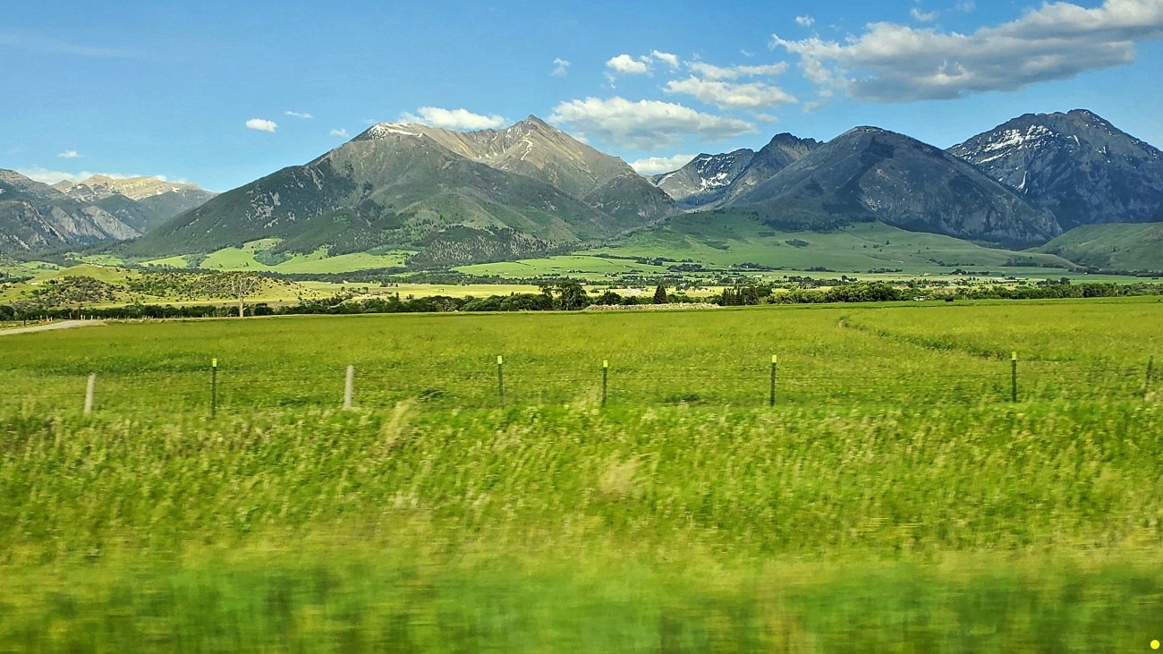 Name:  90-20250614_190116.jpg
Views: 1649
Size:  383.2 KB