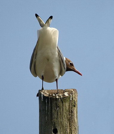 Name:  8.jpg
Views: 3658
Size:  24.5 KB