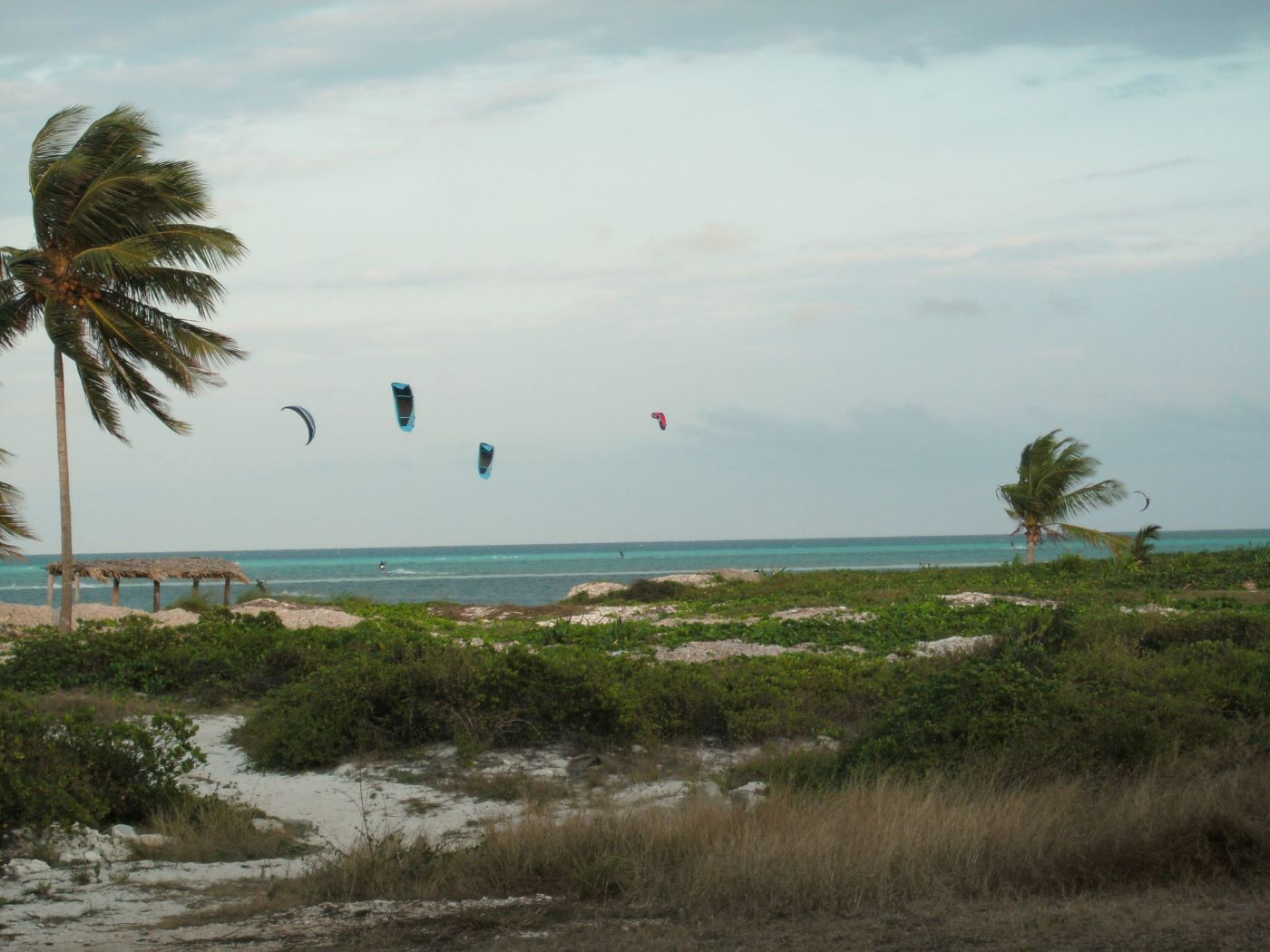 Name:  Kite Surfing.JPG
Views: 306
Size:  161.8 KB