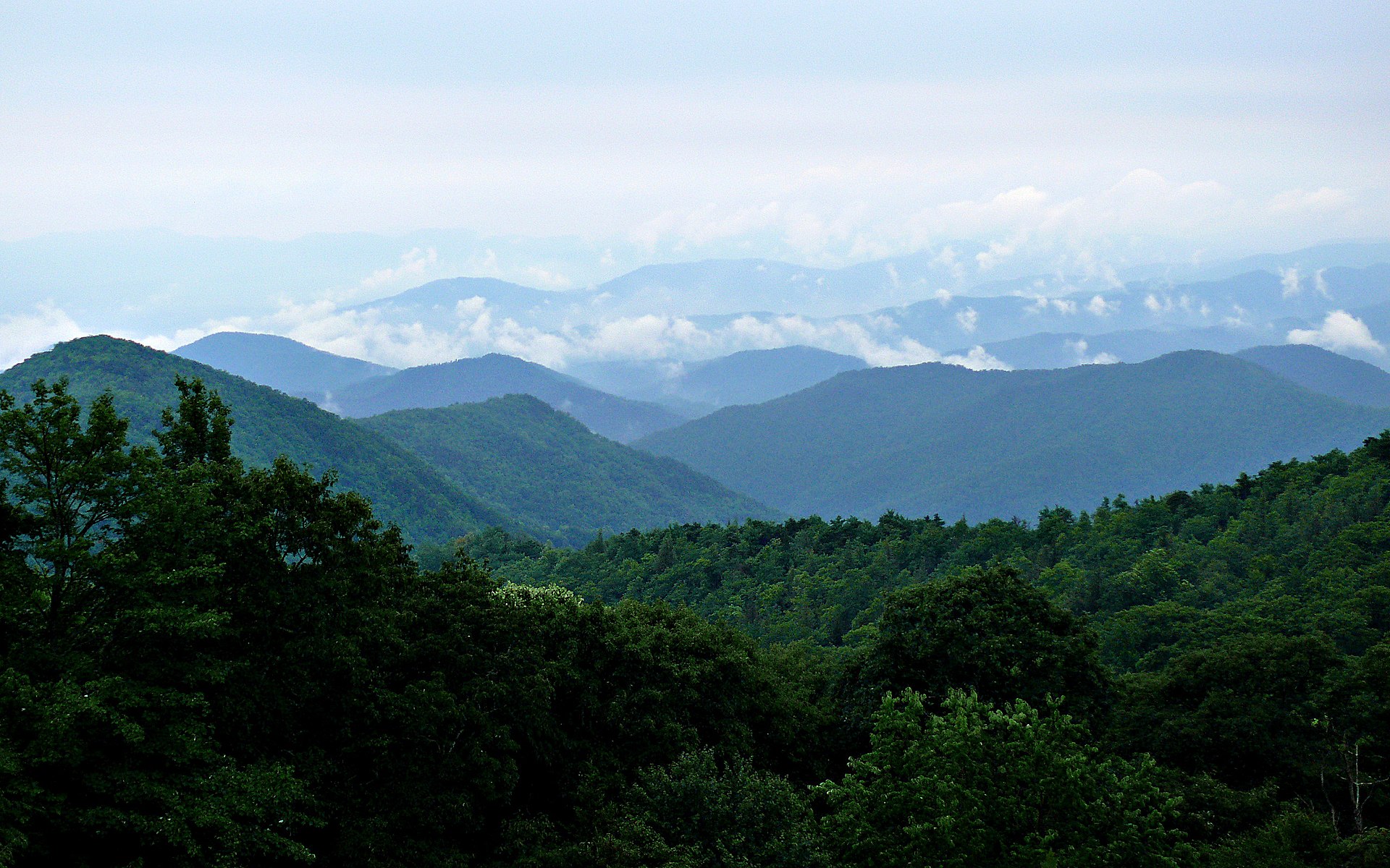 Name:  Rainy_Blue_Ridge-27527.jpg
Views: 8689
Size:  549.4 KB