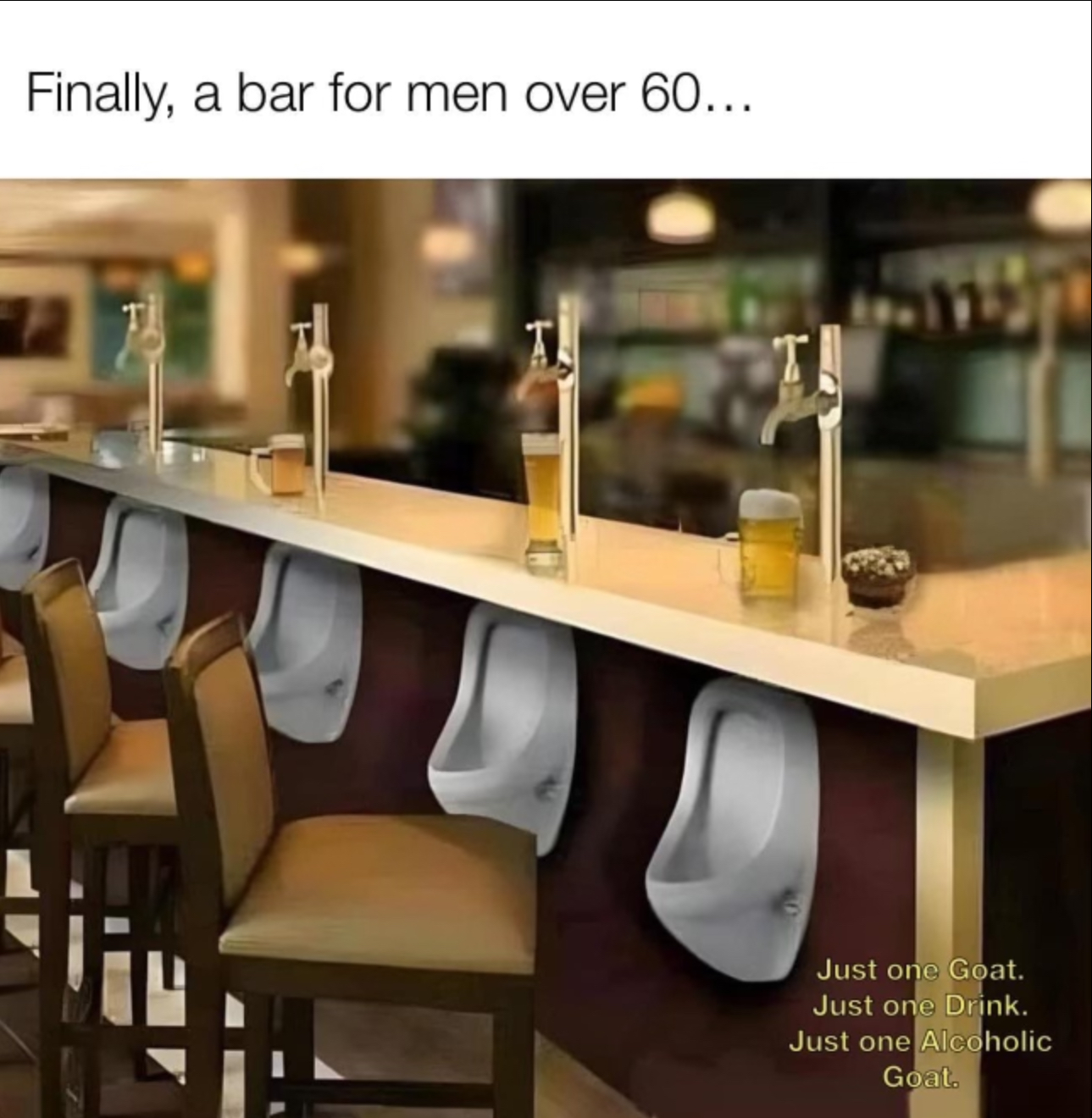 Name:  bar-urinals.jpg
Views: 260
Size:  848.4 KB