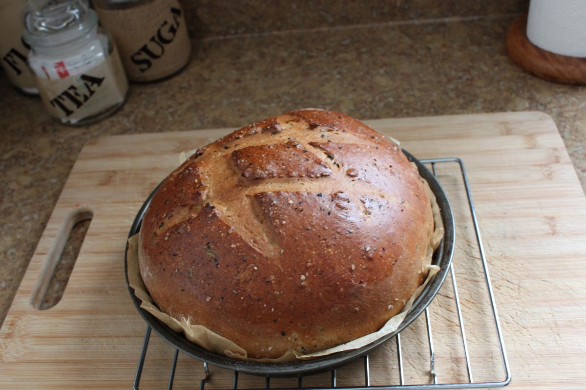 Name:  Olive bread 3.JPG
Views: 3154
Size:  130.0 KB