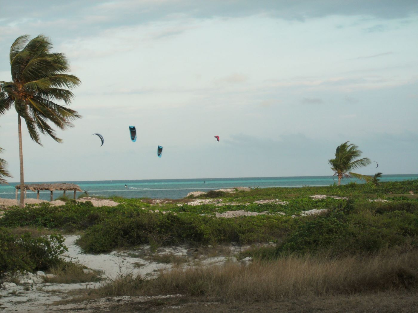 Name:  Kite Surfing.JPG
Views: 1378
Size:  161.8 KB