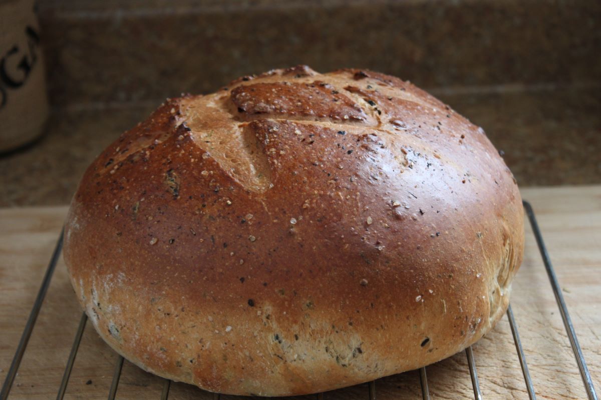 Name:  Olive bread 2.JPG
Views: 3136
Size:  118.8 KB