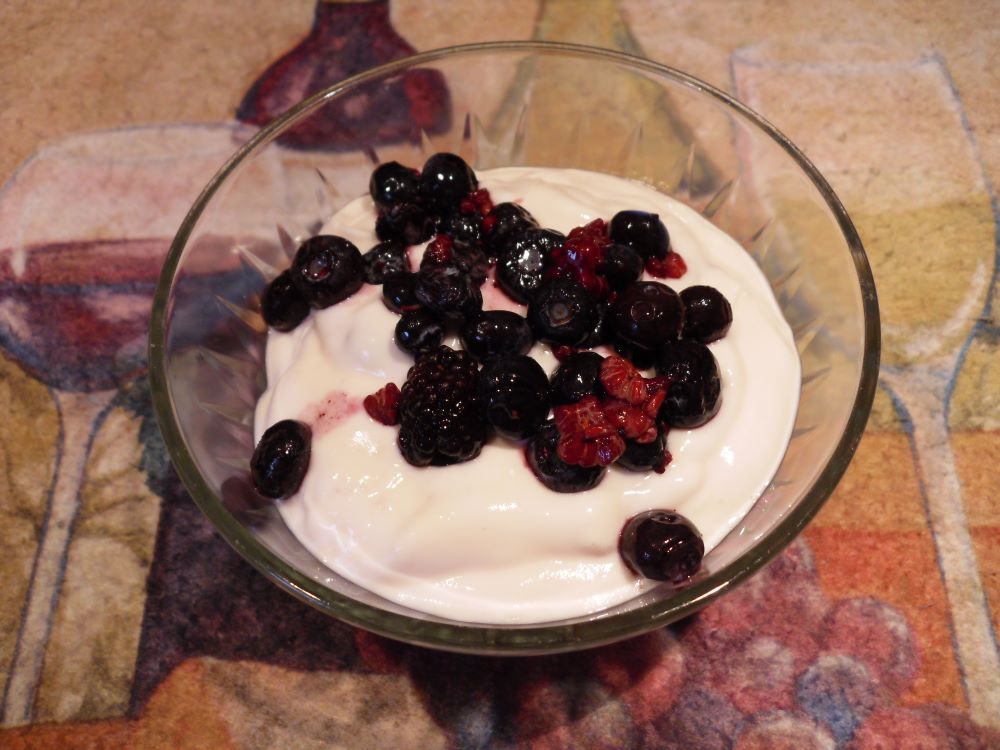 Name:  Yogurt..JPG
Views: 455
Size:  103.5 KB