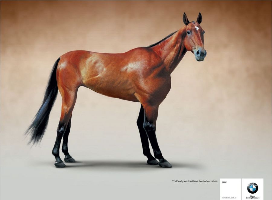 Name:  horse.jpg
Views: 5062
Size:  47.7 KB