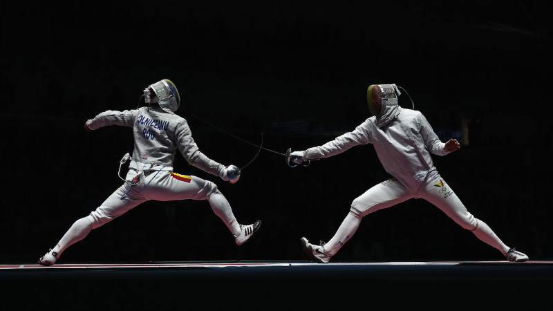 Name:  Fencing.jpg
Views: 498
Size:  35.2 KB