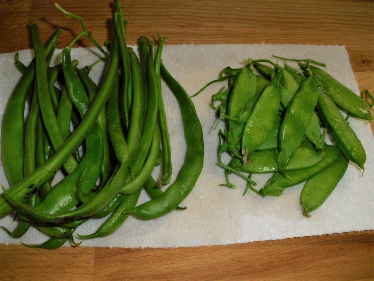 Name:  Beans and peas..JPG
Views: 254
Size:  220.7 KB