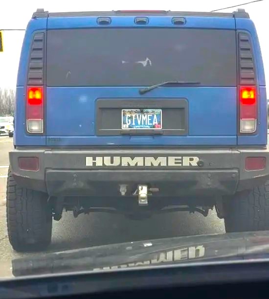 Name:  Hummer..jpg
Views: 487
Size:  54.6 KB