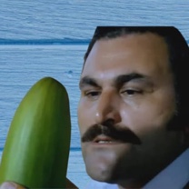 Turkish Pickle's Avatar